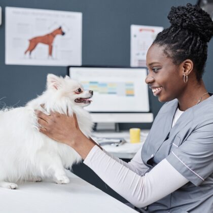 Veterinary Assistant Student Working with a Dog