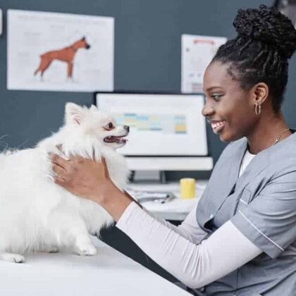Veterinary Assistant with Small Dog